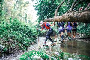 BIB: 
                            <button type="button" onclick="openModal(25459309)" class="btn btn-primary btn-sm float-right btn-popup" data-toggle="modal" data-target=".modal-high-quality">
                        <i class="fas fa-shopping-cart"></i> Add to Cart
                    </button>
                                            <button type="button" onclick="isThisMe(25459309, true)" class="btn btn-success btn-sm float-right btn-popup btn-isme hidden" data-toggle="tooltip" data-placement="bottom" title="นี่คือรูปของคุณใช่ไหม คลิกที่นี่เพื่อเอาเข้าอัลบั้ม">
                        <i class="fas fa-plus"></i> Add to album
                    </button>
                    <button type="button" onclick="isThisMe(25459309, false)" class="btn btn-warning btn-sm float-right btn-popup btn-isnotme hidden">
                        <i class="fas fa-ban"></i> Remove from album
                    </button>